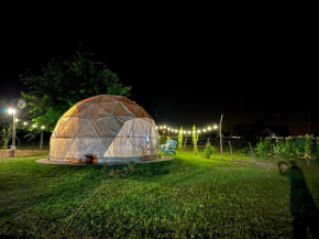 Glamping Salta